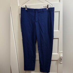 Banana Republic Blue Herringbone